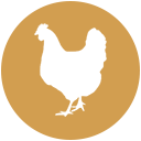 Poultry Icon 128px