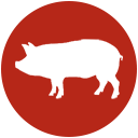 Swine Ico 128pxn